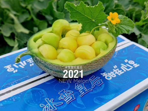 新疆冰雪皇后老汉瓜哈密瓜 2-3个装 商品图3