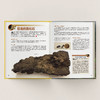 《中国恐龙百科》 商品缩略图9