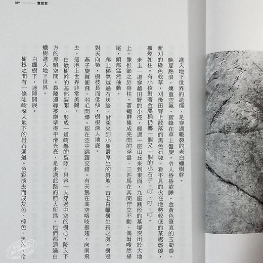 预售 【中商原版】大地之下 时间无限深邃的地方 Underland A Deep Time Journey 港台原版 Robert MacFarlane 大家出版 自然科普 商品图5