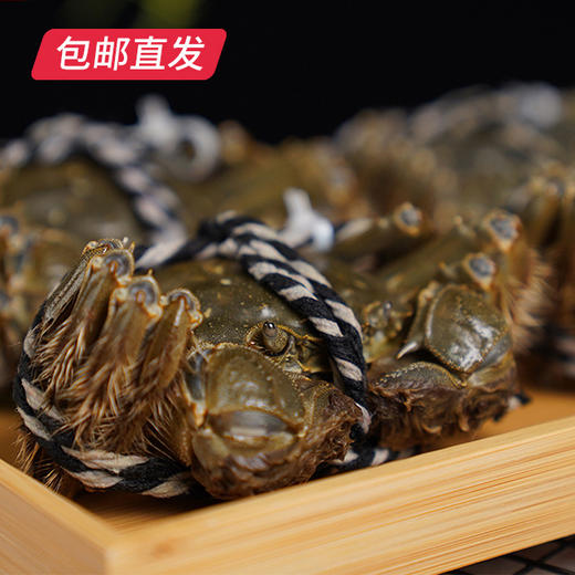 蟹老宋阳澄优礼298型大闸蟹券 （6只）包邮直发 商品图0