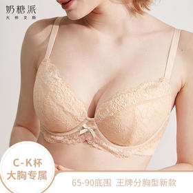 奶糖派大罩杯文胸花颜蕾丝春夏薄款透气上托侧收稳定女大码内衣圆盘半球木瓜