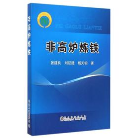 非高炉炼铁/张建良 刘征建 杨天钧