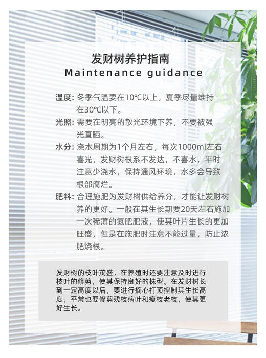 三层中式开业花蓝 商品图4