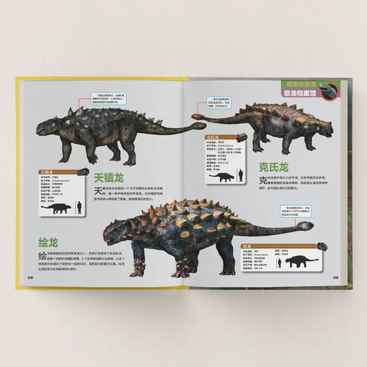 《中国恐龙百科》 商品图8