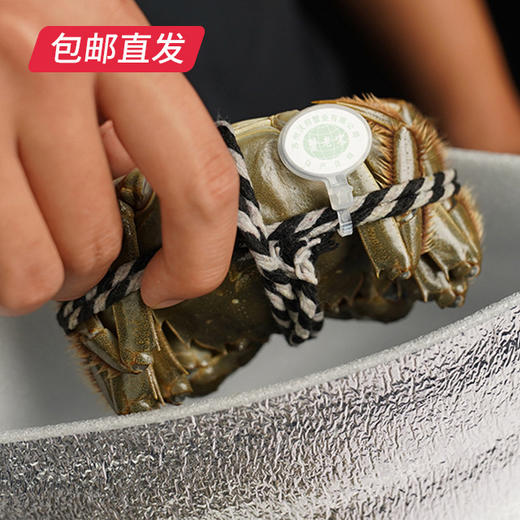 蟹老宋阳澄优礼298型大闸蟹券 （6只）包邮直发 商品图2