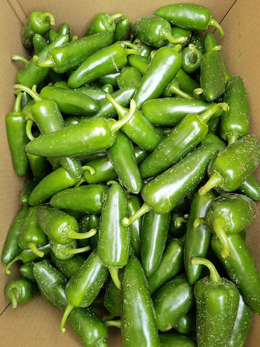 【统一采摘发货】五峰新鲜辣椒3/5斤（墨西哥辣椒/港椒） 商品图1