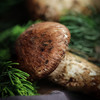 云南新鲜松茸3-5cm 商品缩略图0