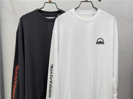 Jasonwood/坚持我的 2021秋季新款男装纯棉圆领长袖T恤 311104001 商品图0