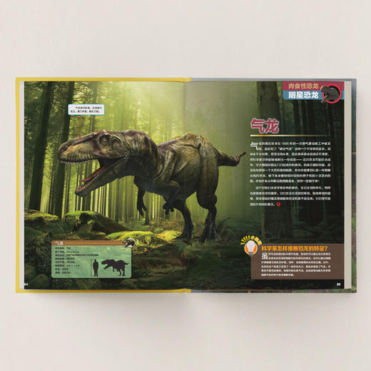 《中国恐龙百科》 商品图6