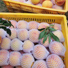 【陕西】黄蜜桃10斤（很香很好吃） 商品缩略图2
