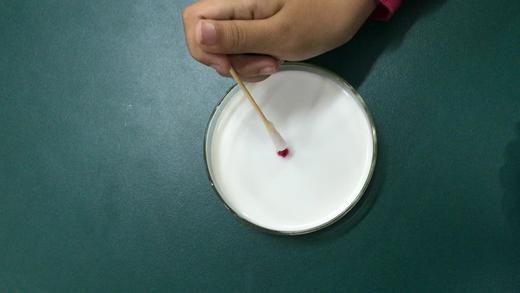 牛奶画视频1 商品图0