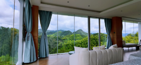 磐山云隐茶隐竹山