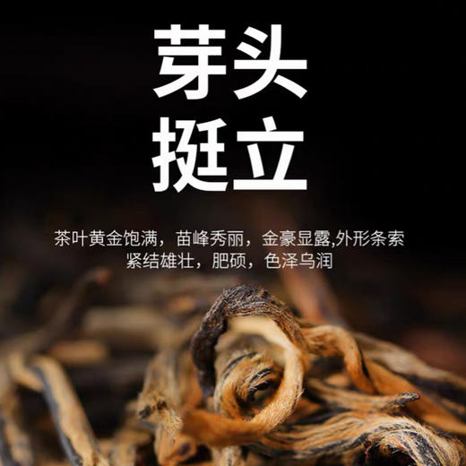 （珍滋味）沽沅居牌古树晒红250g*2/盒 商品图1