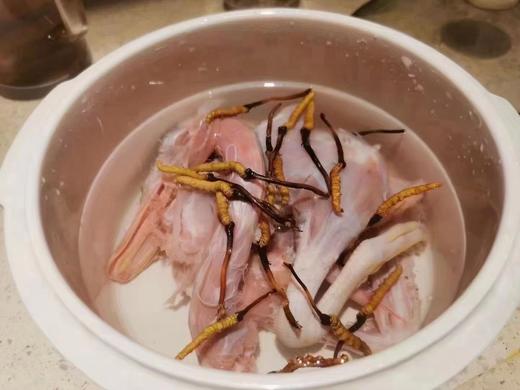 冬虫夏草炖汤套餐（下单即赠送菌菇料包） 商品图1