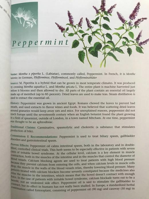 草药指南 约70幅插图 精装大16开 商品图8