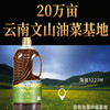 林丰润牌高原小榨香菜籽油（PET）1.6L/桶 商品缩略图0