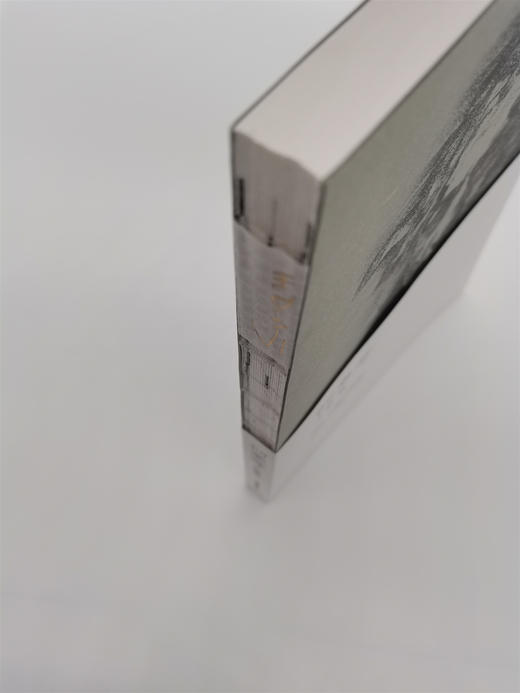 何多苓文献集（签名本）,亲笔签名本，月雅独家出售 ——四川美术出版社 商品图5