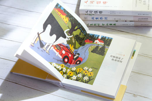 《宝藏奶奶4本套装》：人间值得+人生随时可以重来+此生尽兴+人间美好 商品图8