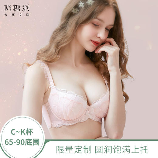 大罩杯秘密花园秋冬刺绣圆润饱满上托侧收透气大胸内衣女 商品图0