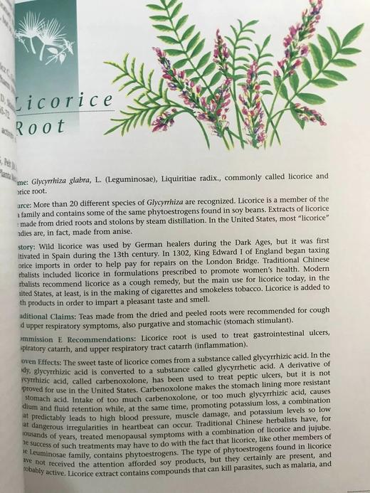 草药指南 约70幅插图 精装大16开 商品图12