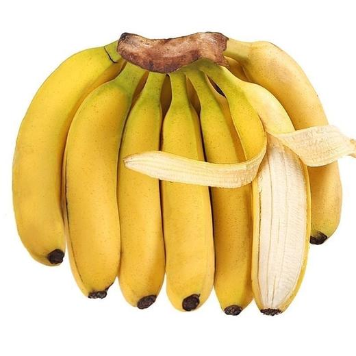 国产香蕉新鲜水果 商品图2