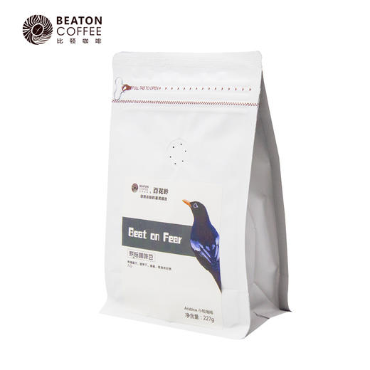 配方设计系列  beat on fear 商品图6