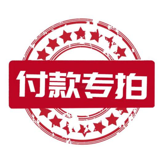 【付款专拍】请联系客服获取付款金额,多少元即拍多少个