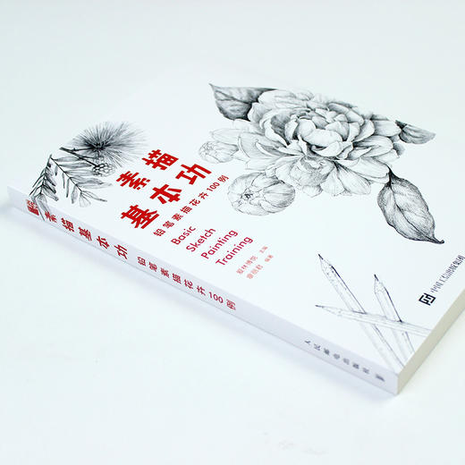 素描基本功 铅笔素描花卉100例 商品图6