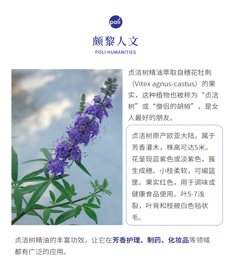 波斯尼亚1号贞节树贞洁树精油