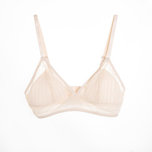 TG-TG02S046桑蚕丝文胸无钢圈内衣女无痕零薄款胸罩透气性感真丝文胸 商品图5