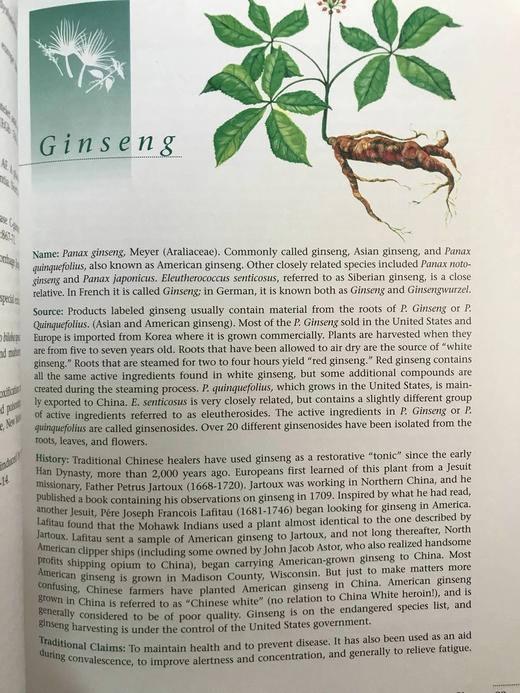 草药指南 约70幅插图 精装大16开 商品图14