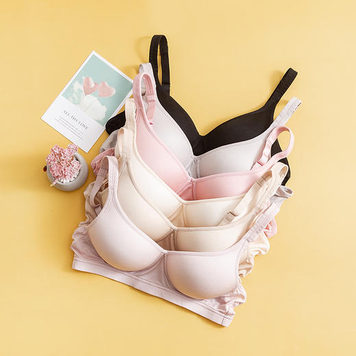 TG-TG02S005舒感胸罩 桑蚕丝 针织真丝文胸内衣 无钢圈款 商品图0