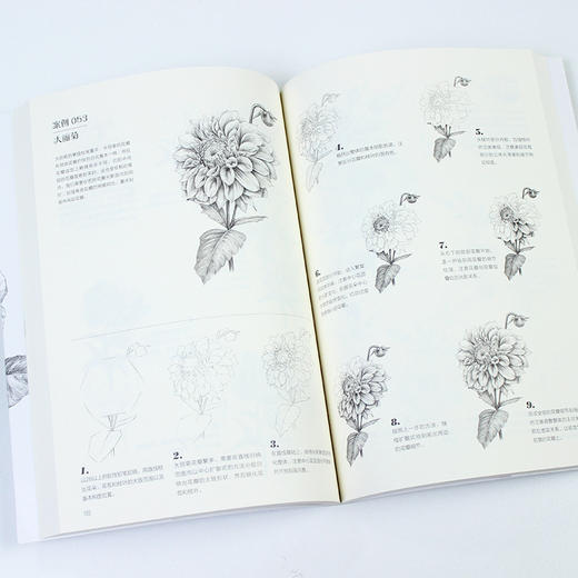 素描基本功 铅笔素描花卉100例 商品图8