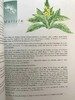 草药指南 约70幅插图 精装大16开 商品缩略图9