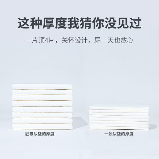 彩色包装高品质宠物尿片尿垫宠物清洁用品狗狗除臭吸水 商品图3