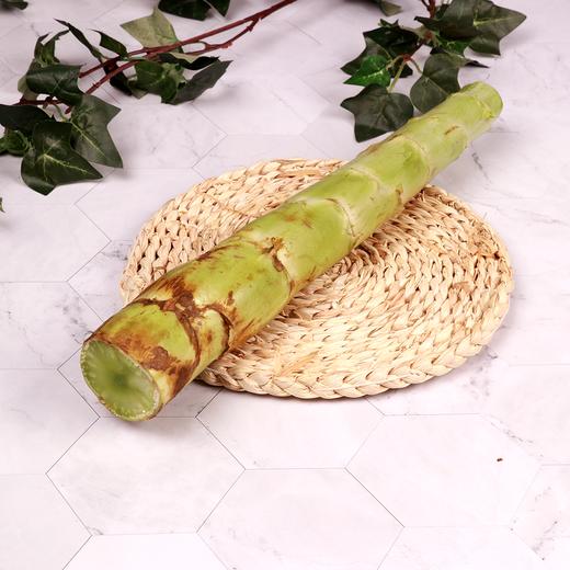 朴愿精选 来自四川阿坝州高原种植 有机莴笋梗 莴笋头 1根 商品图2