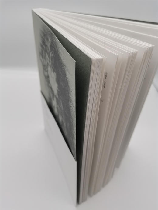 何多苓文献集（签名本）,亲笔签名本，月雅独家出售 ——四川美术出版社 商品图7