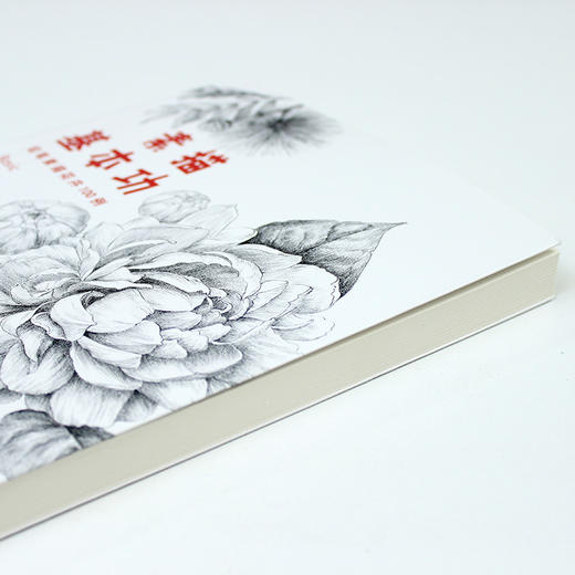 素描基本功 铅笔素描花卉100例 商品图7