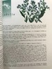 草药指南 约70幅插图 精装大16开 商品缩略图11