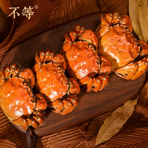 红膏大闸蟹   电子蟹卡  不等·丰子恺联名（大闸蟹提蟹发货时间：每年10.8-12.31、大师级：11月-12月底） 商品图2