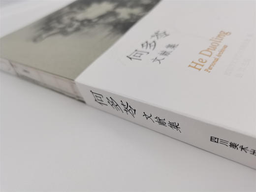 何多苓文献集（签名本）,亲笔签名本，月雅独家出售 ——四川美术出版社 商品图3