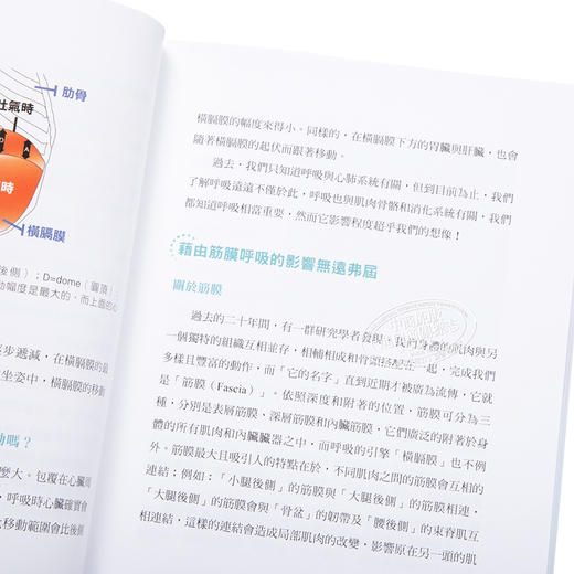 【中商原版】呼吸 启动筋膜自愈的开关 港台原版 李曜舟 阿舟 柏乐出版 商品图3
