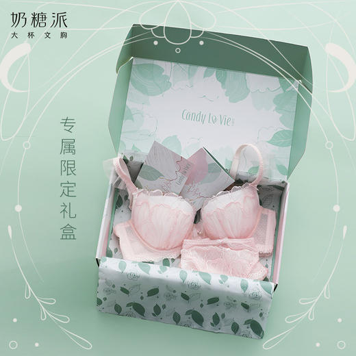 大罩杯秘密花园秋冬刺绣圆润饱满上托侧收透气大胸内衣女 商品图2