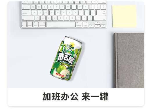 第5季番石榴口味水果饮料310ml*24罐整箱 商品图3