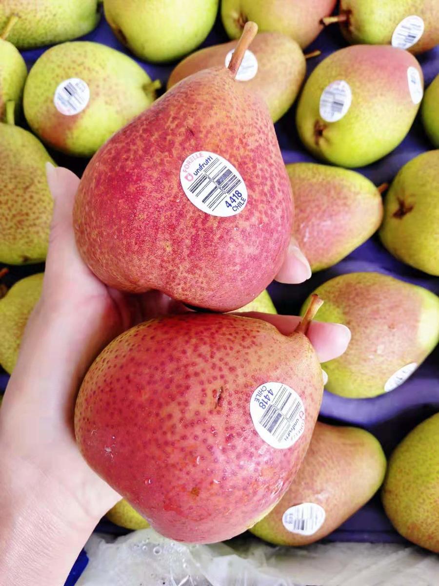 【智利彩梨】脆,甜,鲜!皮薄肉脆,汁多甜爽.特别适合做餐后的水果