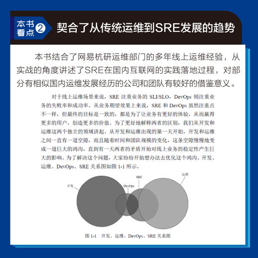 大型网站运维：从系统管理到SRE 商品图5