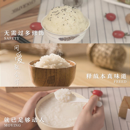 吉内得胚芽粥米500g 商品图4