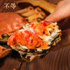 红膏大闸蟹   电子蟹卡  不等·丰子恺联名（大闸蟹提蟹发货时间：每年10.8-12.31、大师级：11月-12月底） 商品缩略图1