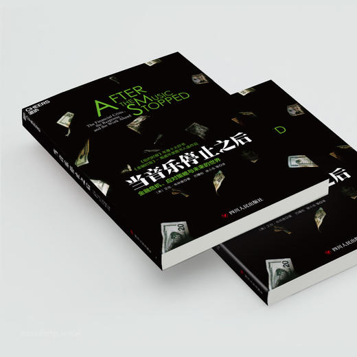 湛庐┃当音乐停止之后：金融危机、应对策略与未来的世界（平装） 企业管理品牌建设 商品图1