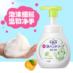 花王 洗手液（柑橘香型）250ml（289445）